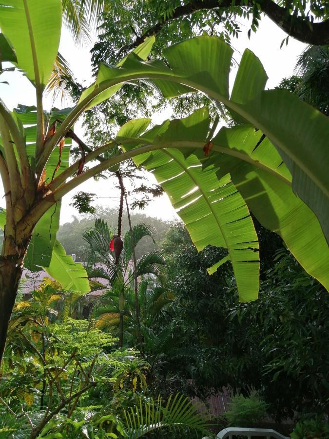 Hotel Guiones Nosara Eksteriør bilde